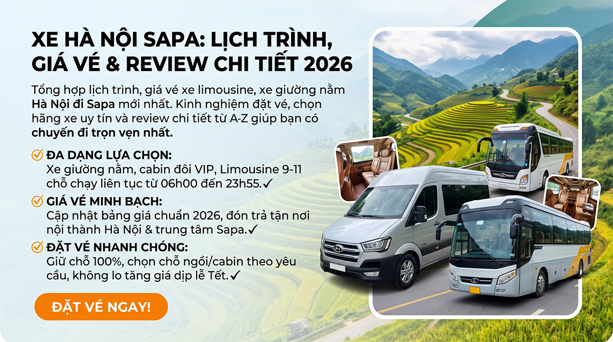 Xe Hà Nội Sapa: Lịch Trình, Giá Vé & Review Chi Tiết