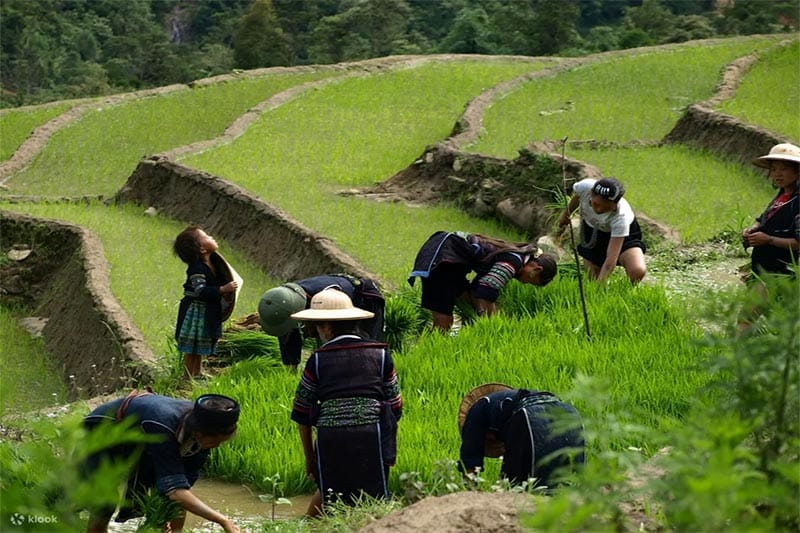 Tour Sapa 3 ngày