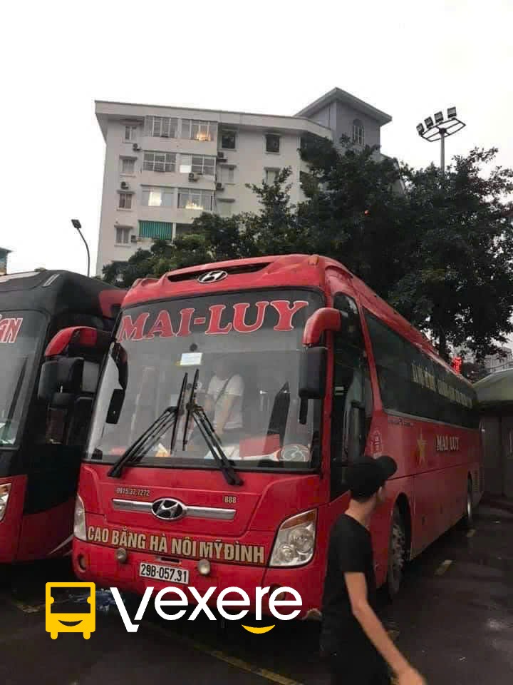 Mai-Luy-Cao-Bang-6